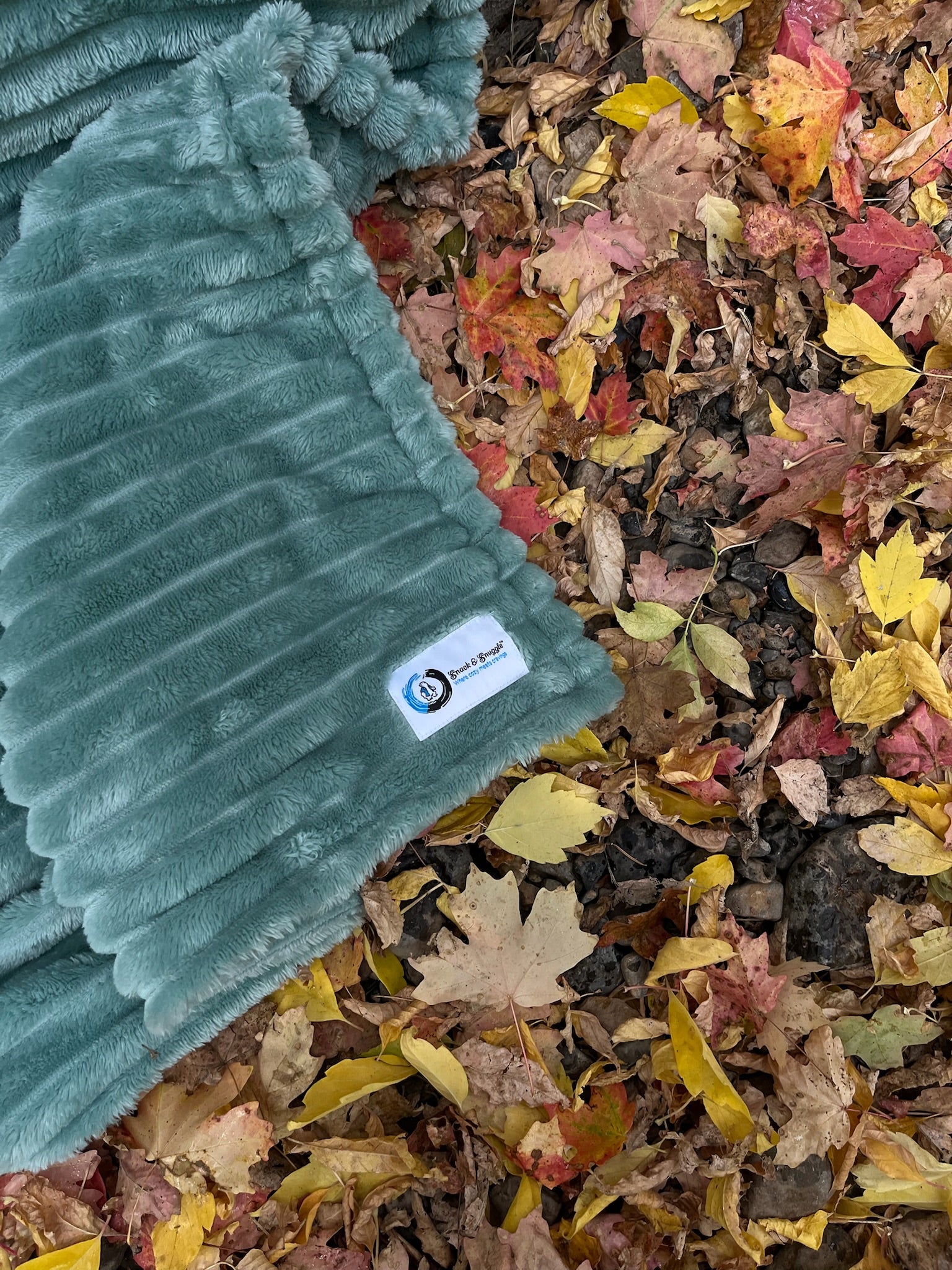 Snack & Snuggle™  Raschel Blanket