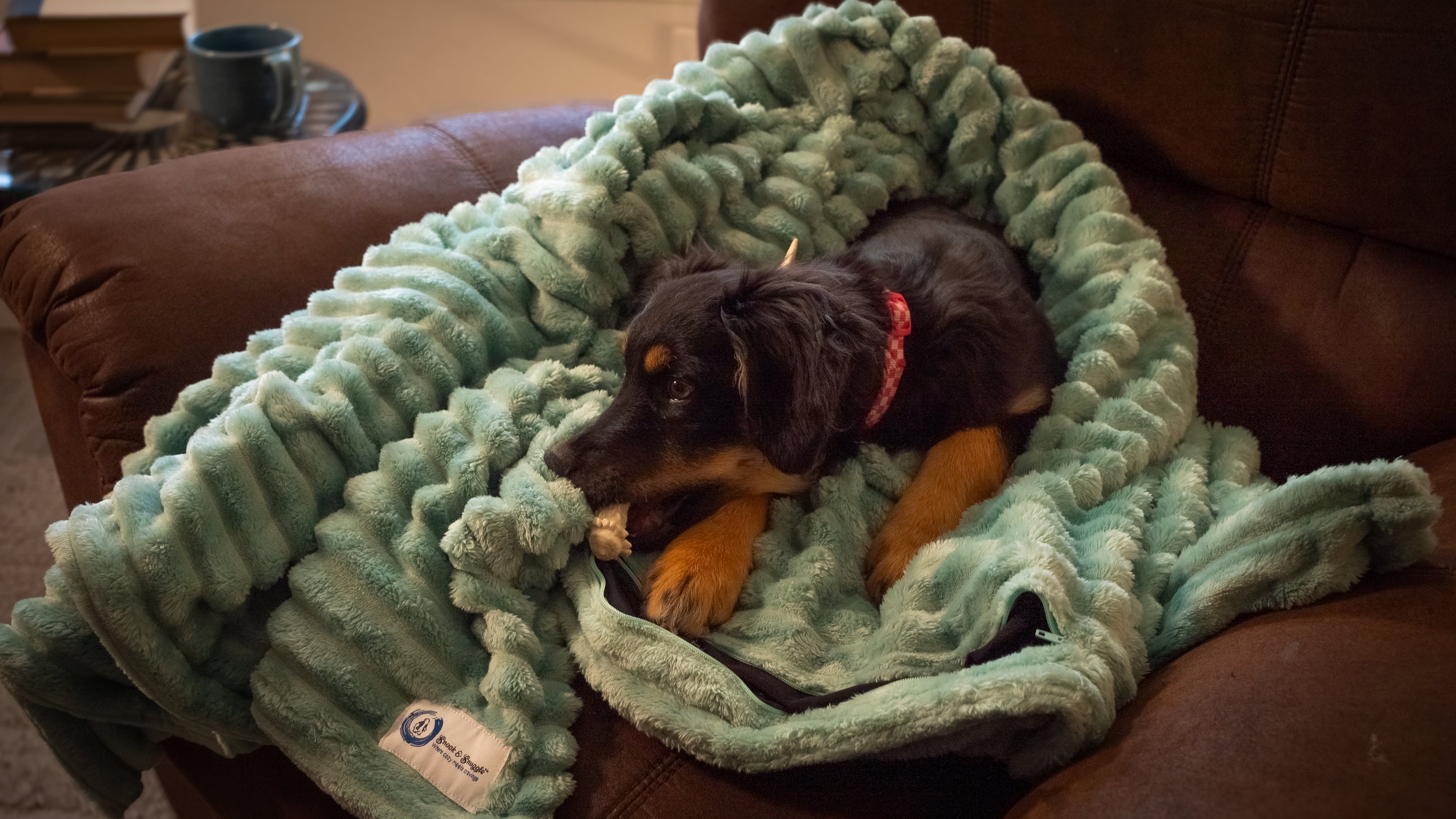 Snack & Snuggle™  Raschel Blanket - Available in 3 Colors