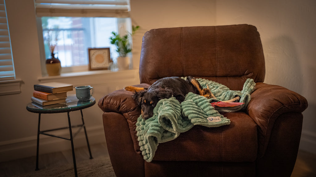 Snack & Snuggle™  Raschel Blanket - Available in 3 Colors