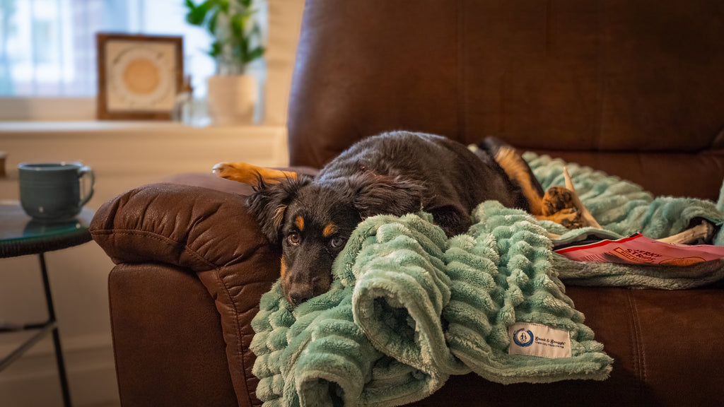 Snack & Snuggle™  Raschel Blanket - Available in 3 Colors