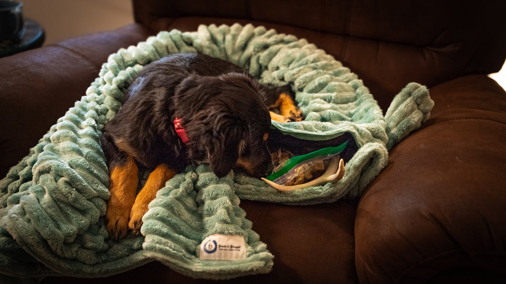 Snack & Snuggle™  Raschel Blanket - Available in 3 Colors