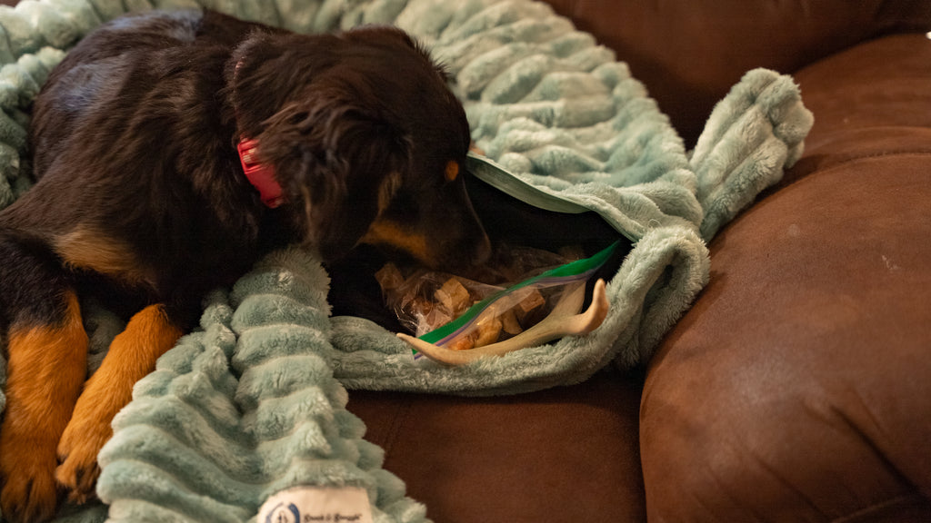 Snack & Snuggle™  Raschel Blanket - Available in 3 Colors