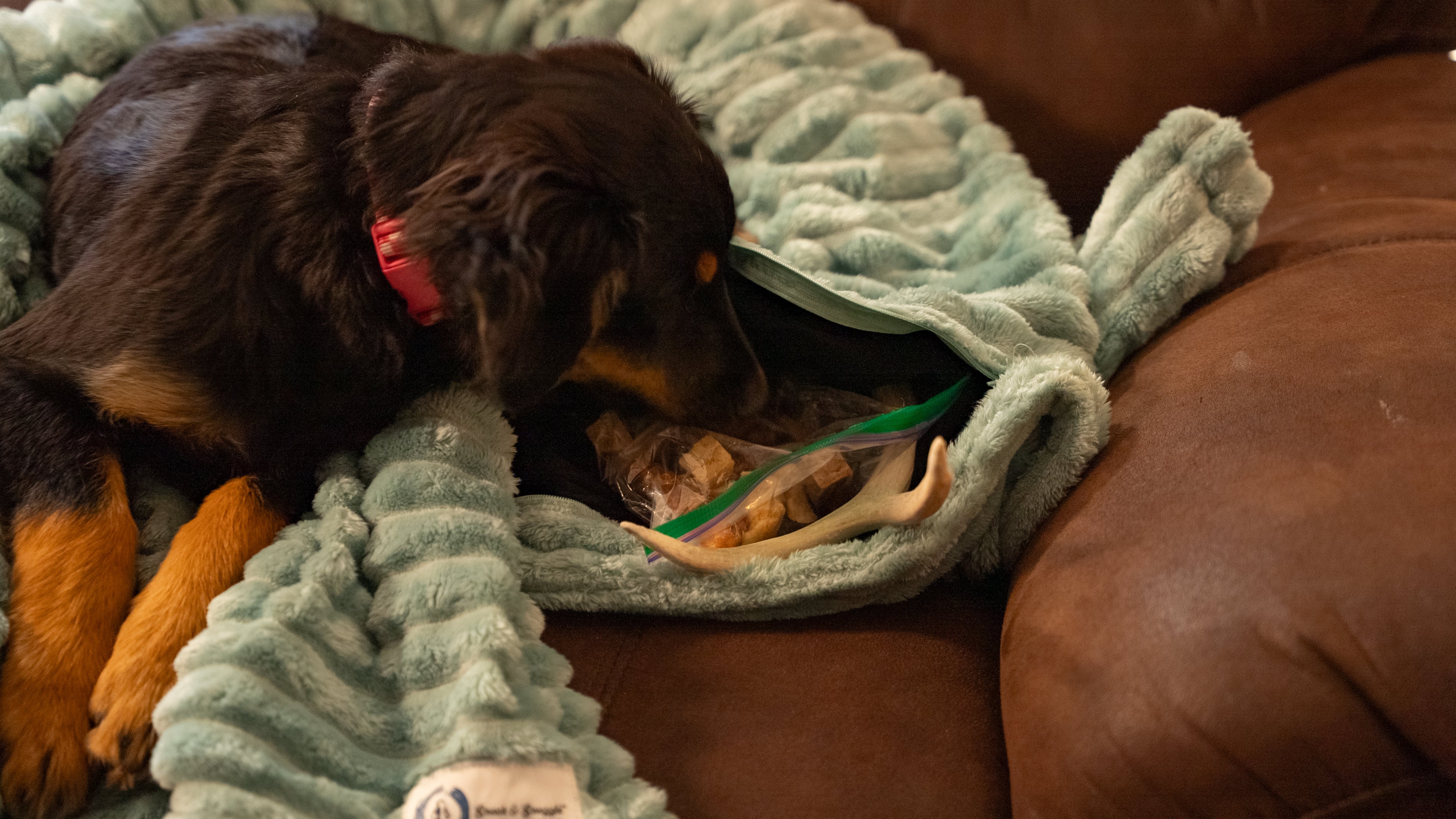 Snack & Snuggle™  Raschel Blanket - Available in 3 Colors