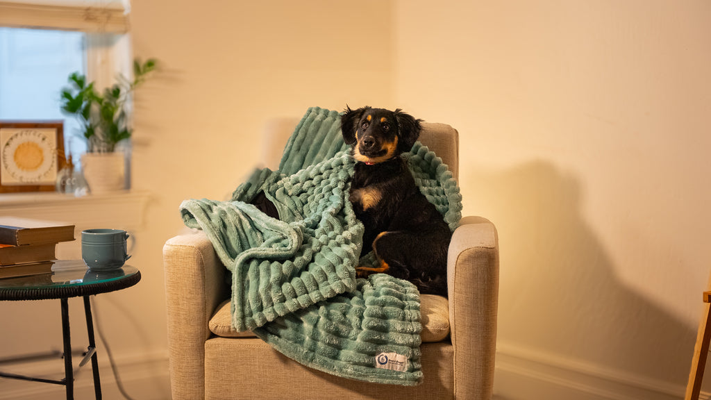Snack & Snuggle™  Raschel Blanket - Available in 3 Colors