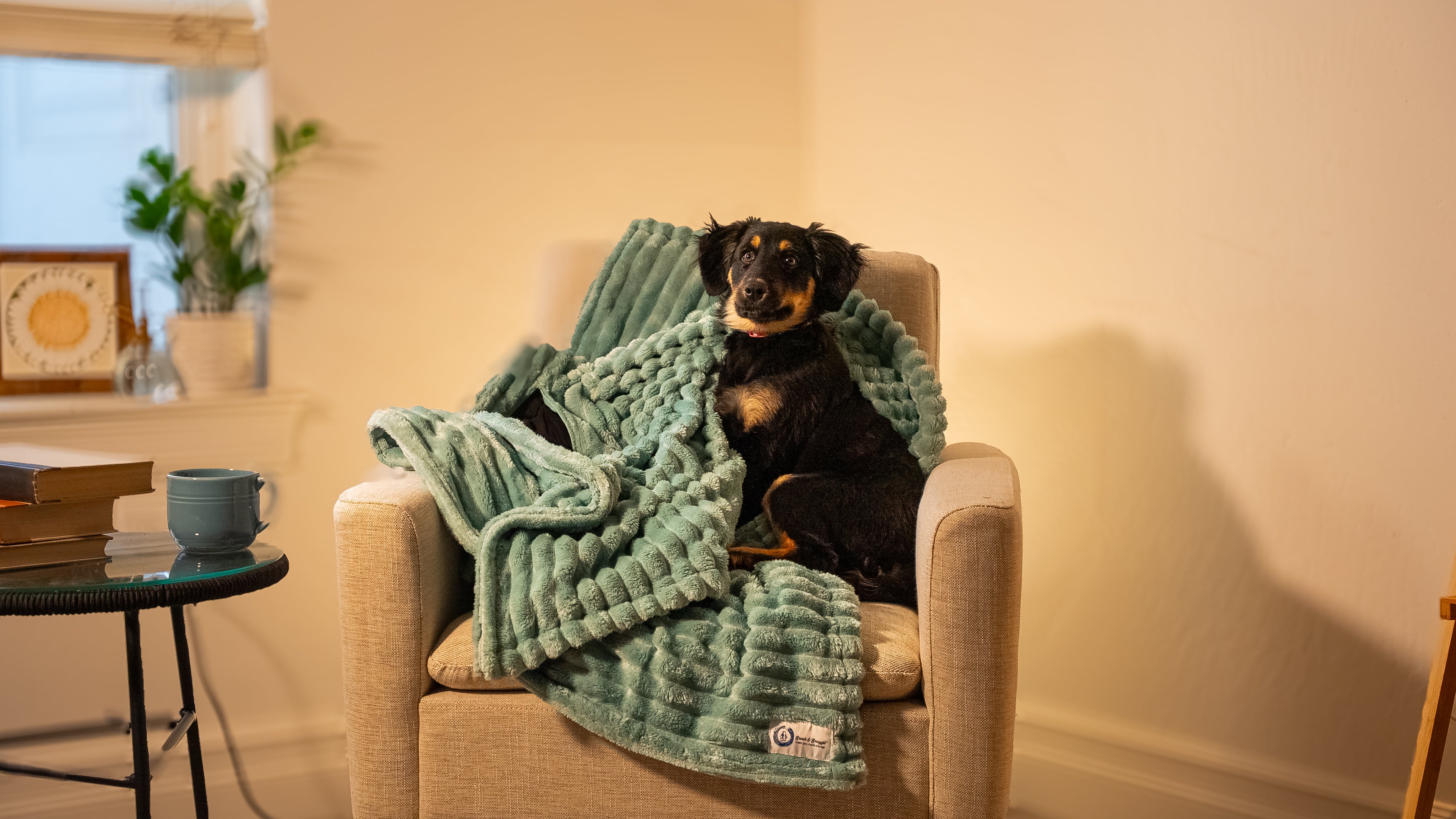 Snack & Snuggle™  Raschel Blanket - Available in 3 Colors