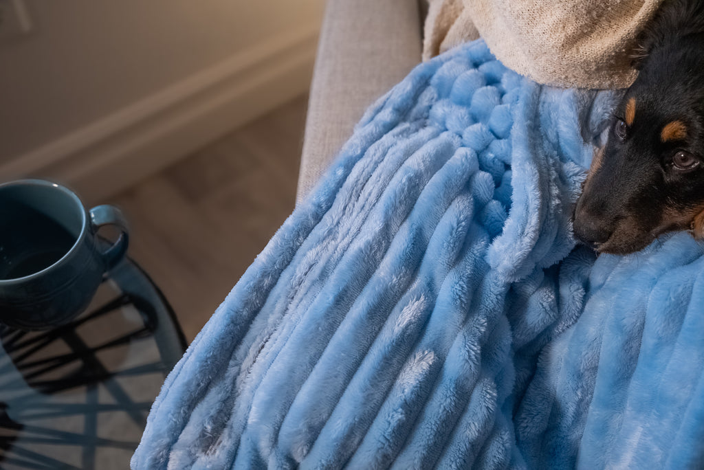Snack & Snuggle™  Raschel Blanket - Available in 3 Colors